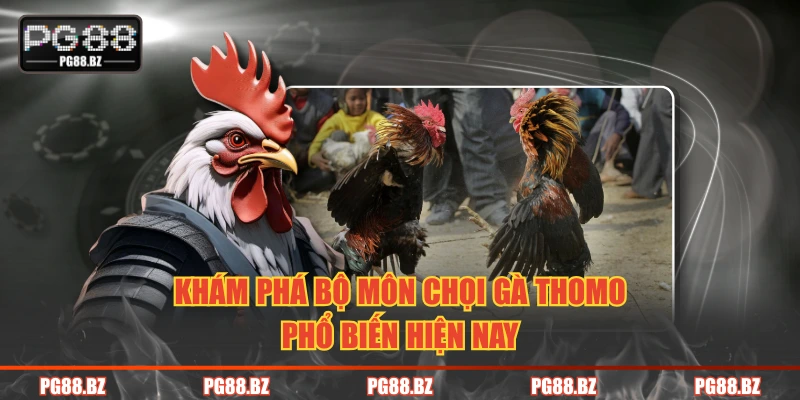 Khám phá bộ môn chọi gà Thomo phổ biến hiện nay